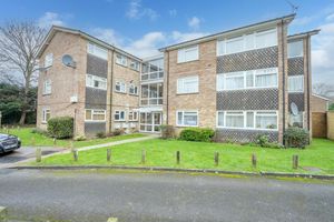 Photo 2- click for photo gallery